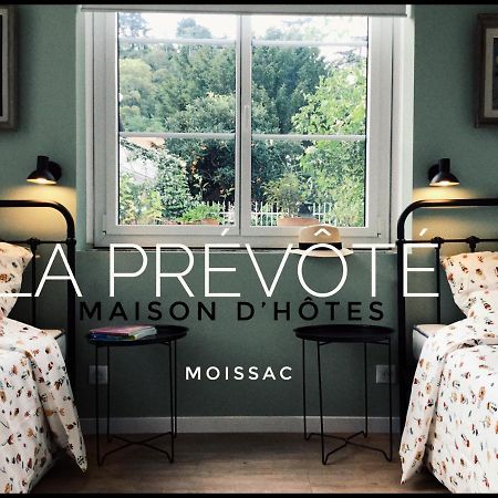 La Prevote Bed and Breakfast Moissac Buitenkant foto