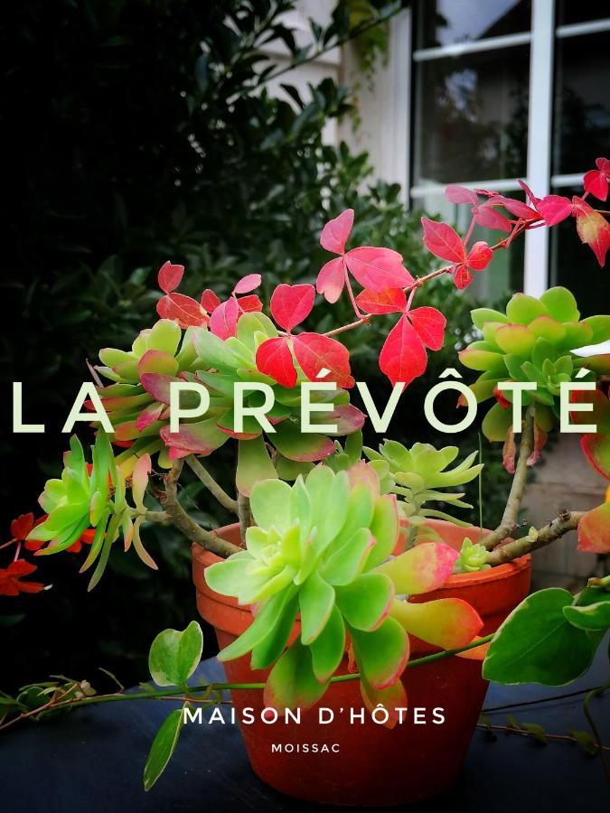 La Prevote Bed and Breakfast Moissac Buitenkant foto